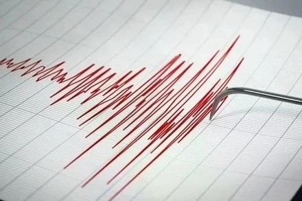 (Ảnh minh họa: iStock)