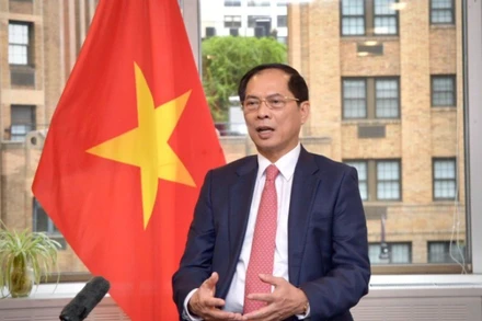 Phó Thủ tướng, Bộ trưởng Ngoại giao Bùi Thanh Sơn. (Ảnh: Bộ Ngoại giao cung cấp)