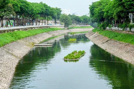 Màu nước xanh trên sông Tô Lịch. (Ảnh: VĂN THỊNH)