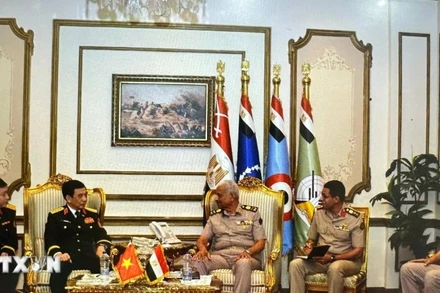 Đại tướng Phan Văn Giang, Bộ trưởng Quốc phòng hội kiến Đại tướng Abdel Mageed Saqr, Bộ trưởng Quốc phòng Ai Cập. (Ảnh: TTXVN phát)