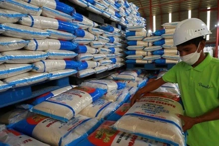 Campuchia dự kiến xuất khẩu được 900.000 tấn gạo trong năm 2025 (Ảnh: Khmer Times)