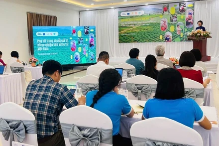 Toàn cảnh hội thảo.