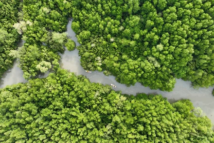 Hướng đi cho phát triển kinh tế tuần hoàn ở Thành phố Hồ Chí Minh