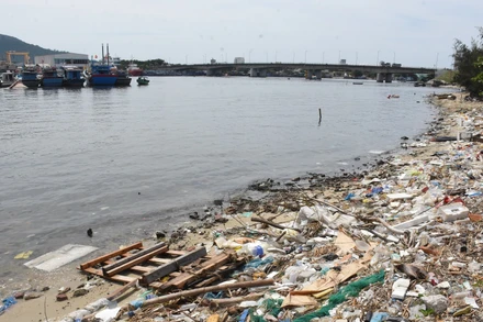 Rác bủa vây Vịnh Mân Quang, Đà Nẵng sáng ngày 6/8. (Ảnh: ANH ĐÀO)