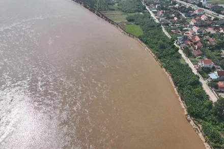 Nhiều vị trí sạt lở chỉ cách chân đê Hữu Thao vài chục mét.