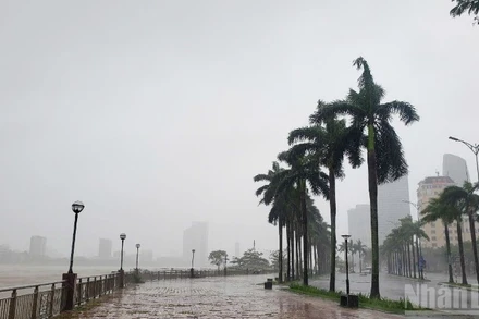 Đà Nẵng có gió mạnh và mưa lớn.