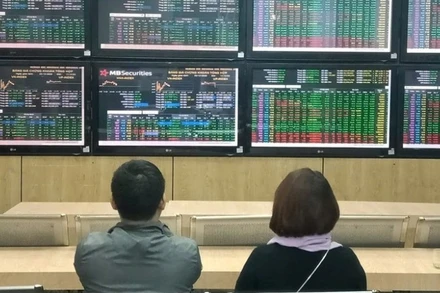 Ảnh minh họa. (Nguồn: TTXVN)