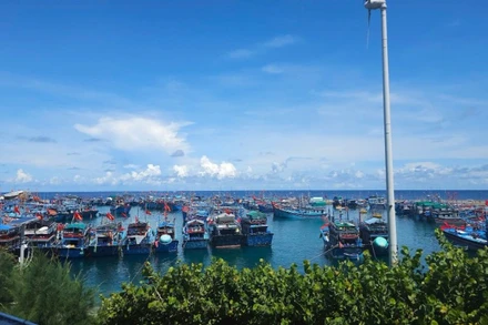 Âu tàu đảo Sinh Tồn, đặc khu Trường Sa bố trí sắp xếp tàu cá vào tránh trú bão.