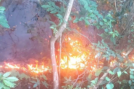 Chiều 11/8, trên khu vực đèo Ngang, xã Phú Trạch, tỉnh Quảng Trị đã xảy ra vụ cháy rừng.