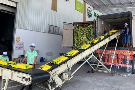 Dây chuyền đóng gói gạo xuất khẩu của Công ty cổ phần Nông nghiệp công nghệ cao Trung An, thành phố Cần Thơ. (Ảnh: MINH ANH)