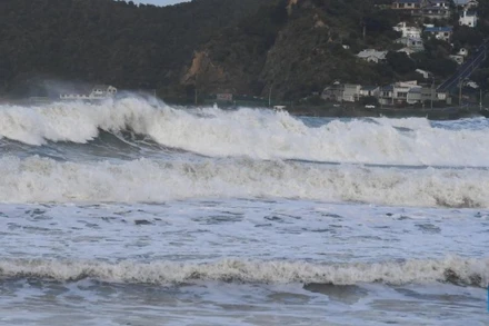 Ảnh minh họa: Tân Hoa xã