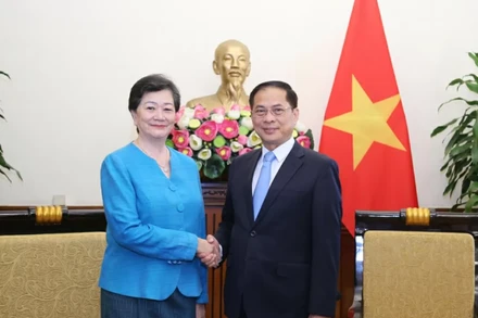 Phó Thủ tướng, Bộ trưởng Ngoại giao Bùi Thanh Sơn tiếp Đại sứ Campuchia Chea Kimtha. (Ảnh: Thành Long/Thế giới & Việt Nam)