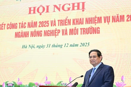 Thủ tướng Chính phủ Phạm Minh Chính phát biểu ý kiến chỉ đạo hội nghị. (Ảnh: TRẦN HẢI)