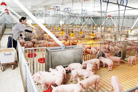 Công ty CP Phát triển nông nghiệp Hòa Phát (HPA) đã nộp hồ sơ IPO vào tháng 9/2025.