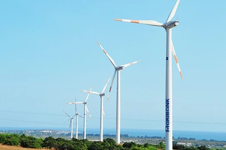 Ngân hàng Agribank quản lý chặt chẽ rủi ro môi trường và xã hội trong hoạt động cấp tín dụng cho các dự án năng lượng tái tạo như điện gió. Ảnh: NAM ANH