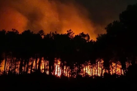 Gió to khiến ngọn lửa bùng phát dữ dội. (Ảnh: CTV)