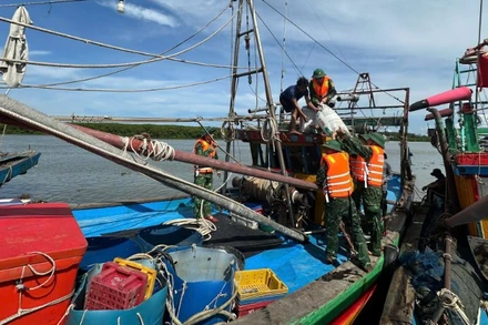 Cán bộ, chiến sĩ Đồn Biên phòng Diễn Thành hướng dẫn, giúp đỡ ngư dân neo đậu tàu thuyền phòng chống bão số 5.