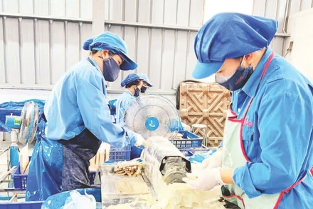 Hoạt động sản xuất tại Công ty TNHH Kẻ Gỗ trong Khu công nghiệp Thanh Bình.