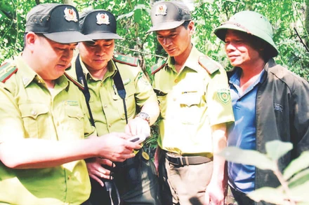 Cán bộ kiểm lâm cơ sở tỉnh Phú Thọ kiểm tra rừng qua hệ thống máy định vị GPS cầm tay và ảnh vệ tinh.