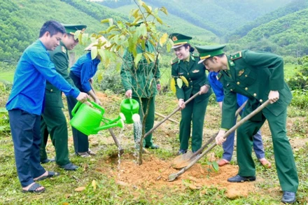 Tuổi trẻ Bộ đội Biên phòng tỉnh Nghệ An và đoàn viên thanh niên địa phương hăng hái trồng cây Xuân Bính Ngọ 2026.