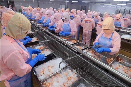 (Ảnh minh họa: Vũ Sinh/TTXVN)