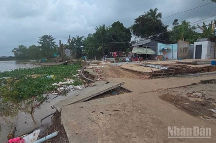 Sạt lở cù lao Mỹ Hòa Hưng ven sông Hậu.