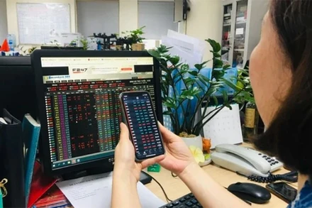 (Ảnh minh họa: vietnam+)