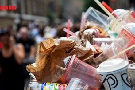 [Video] Hà Nội thí điểm không sử dụng đồ nhựa dùng một lần tại khu vực Vành đai 1