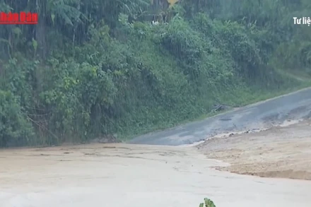 [Video] Cảnh báo mưa lớn, gió giật mạnh tại nhiều khu vực trên cả nước