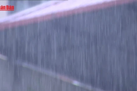[Video] Miền Bắc tiếp tục mưa lớn, Hà Nội có mưa giông trong ngày 2/7