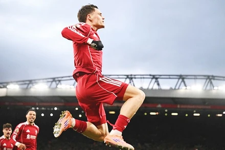 Florian Wirtz "bay cao" với bàn thắng đầu tiên cho đội bóng mới Liverpool.