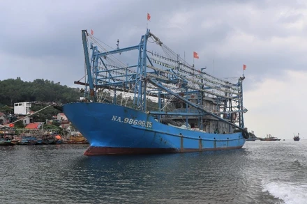 Tỉnh Nghệ An có 2.816 phương tiện /12.644 lao động trực tiếp đánh bắt hải sản.