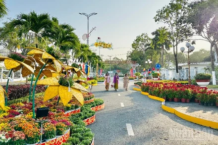 Một góc đường hoa Xuân Bính Ngọ 2026 của phường Bạc Liêu, tỉnh Cà Mau. (Ảnh: TRỌNG DUY)