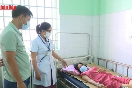 [Video] Thủ tướng yêu cầu tăng cường phòng, chống bệnh sốt xuất huyết trên phạm vi toàn quốc 