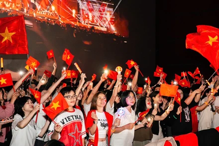 Khán giả xem phim “Tổ quốc trong tim: The Concert Film”. 