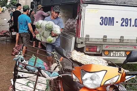 Anh Trung gom hàng để mang về chợ đầu mối.