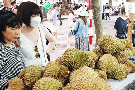 Sầu riêng Việt Nam được người tiêu dùng ưa chuộng nhờ hương vị đặc trưng và mức giá hợp lý. Ảnh: NAM ANH