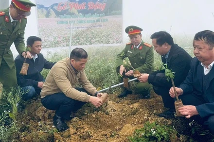 Xã Lũng Cú, tỉnh Tuyên Quang tổ chức phát động trồng cây ăn quả gắn với phát triển du lịch xanh.