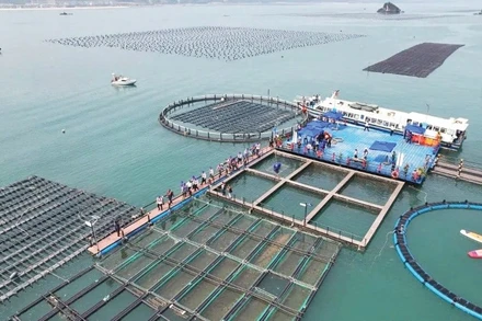 Nuôi trồng thủy sản công nghệ cao ở tỉnh Quảng Ninh. (Ảnh: NGUYỄN THÀNH)