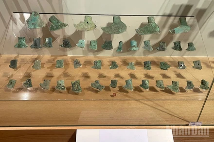 Bộ sưu tập lưỡi rìu được khai quật tại Vườn Chuối.