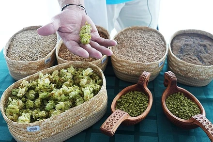 Các sản phẩm hoa bia đã qua chế biến.