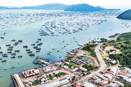 Nghề nuôi thủy sản tại vịnh Xuân Đài đang gượng dậy sau thiên tai.