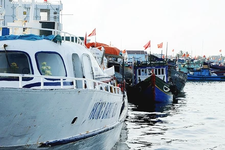 Ngày 17/1, Hiệp ước Biển cả chính thức có hiệu lực. Ảnh: SONG ANH