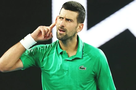 Djokovic suýt trả giá vì nóng giận