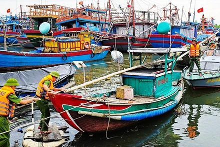 Không chủ quan, lơ là khi chống bão