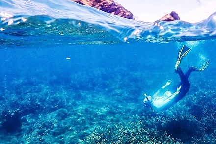 Dự án phục hồi rạn san hô ở Woppaburra. Ảnh: AIMS