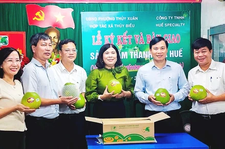 Đại diện các bên tại lễ ký kết hỗ trợ tiêu thụ thanh trà VietGAP Huế cung cấp cho siêu thị.