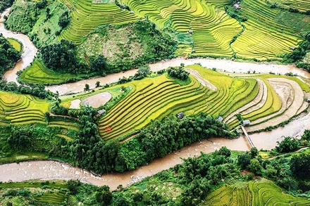 Ruộng bậc thang Mù Cang Chải. (Ảnh: THÀNH ĐẠT)