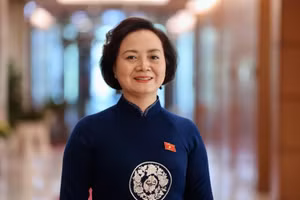 Phó Thủ tướng Chính phủ Phạm Thị Thanh Trà làm Trưởng Ban Chỉ đạo quốc gia về phát triển ngành dược Việt Nam. (Ảnh: VGP)