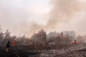 Lực lượng cứu hỏa nỗ lực dập lửa cháy rừng tại Kampar, tỉnh Riau, Indonesia, ngày 20/7/2025. (Ảnh: THX/TTXVN)